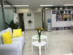 深圳市百和國際教育與咨詢 專業(yè)引領(lǐng)，成就未來